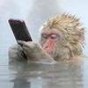 6147786290529796046@mailru
