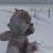 106016231990866515054@google