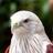 110927653807160863491@google