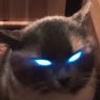 114852653144614091635@google