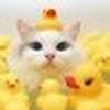 336061578@vkontakte