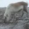 479883187@vkontakte
