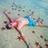 94371055@vkontakte