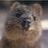 133786850@vkontakte