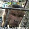 105642165714556658732@google