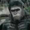 25762393@vkontakte