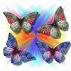 115691763285592342057@google