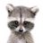 100478060094432559739@google