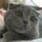 2455122@vkontakte