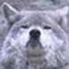 144267907@vkontakte