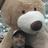 117038431140792551834@google