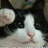 109779720162753876798@google