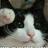 109779720162753876798@google