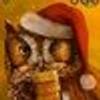 381521895@vkontakte