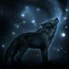 5060394498606635082@mailru