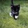 137582661@vkontakte
