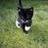 137582661@vkontakte