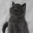 104159074848615343094@google