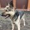 612474600@vkontakte