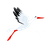 115494429573050443476@google