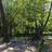 116200914041219068215@google
