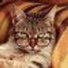 12443949@vkontakte