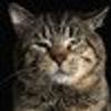 189869509@vkontakte