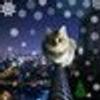 208219639@vkontakte