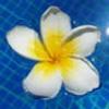 108200785286533165758@google