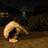 420105550@vkontakte
