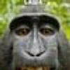 243366558@vkontakte