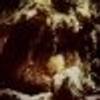 310797706@vkontakte