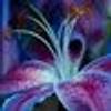 138741820@vkontakte