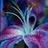 138741820@vkontakte