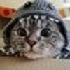 402523701@vkontakte