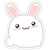 Anty