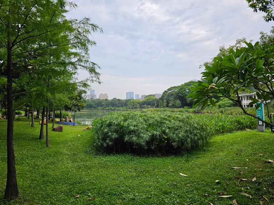 Серые схемы 2023