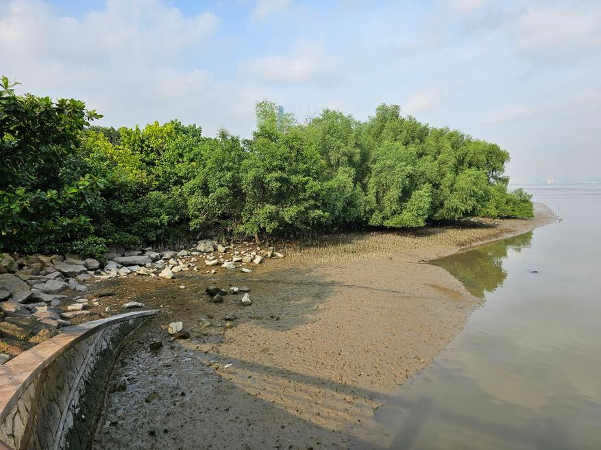 выходные в феврале. световой день прибавляется. когда день солнцестояния. день весеннего равноденствия в 2021 какого числа. какой день самый длинный в году 2023.