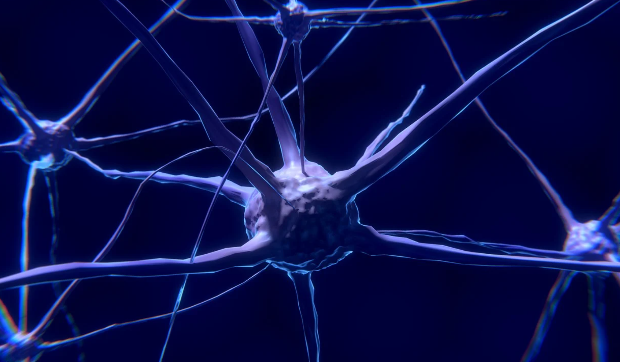 Исследование показало: люди могут ощущать предметы, не прикасаясь к ним