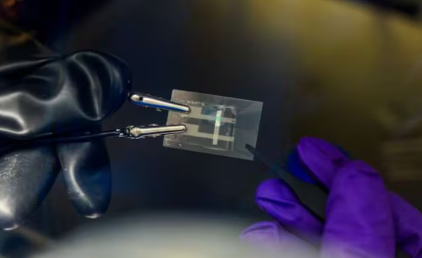 Эластичные OLED-экраны стали реальностью: ученые сделали дисплей, который можно растянуть