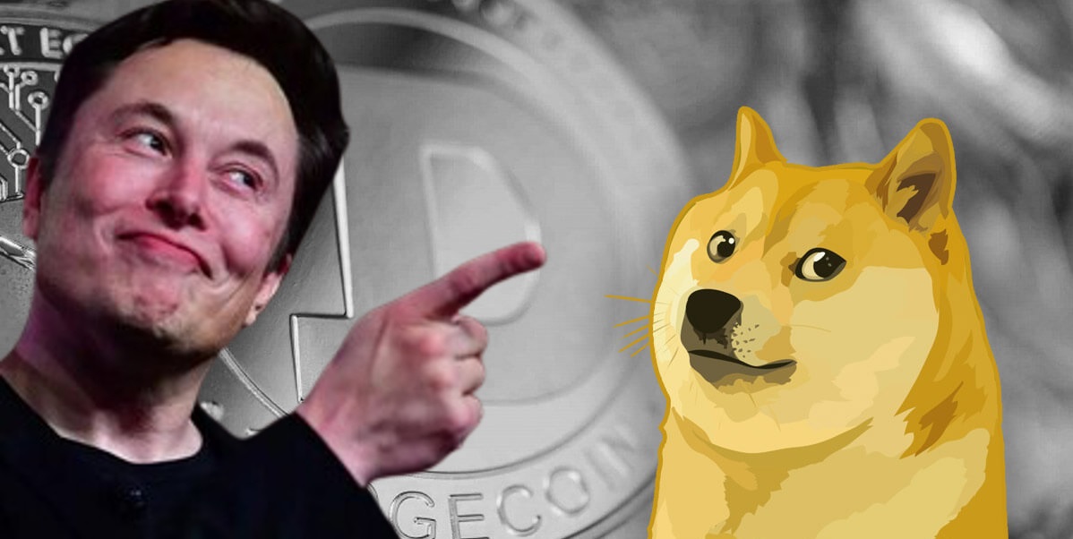 Илон Маск заменил логотип Twitter на Dogecoin / Криптовалюты, NFT и финансы / iX