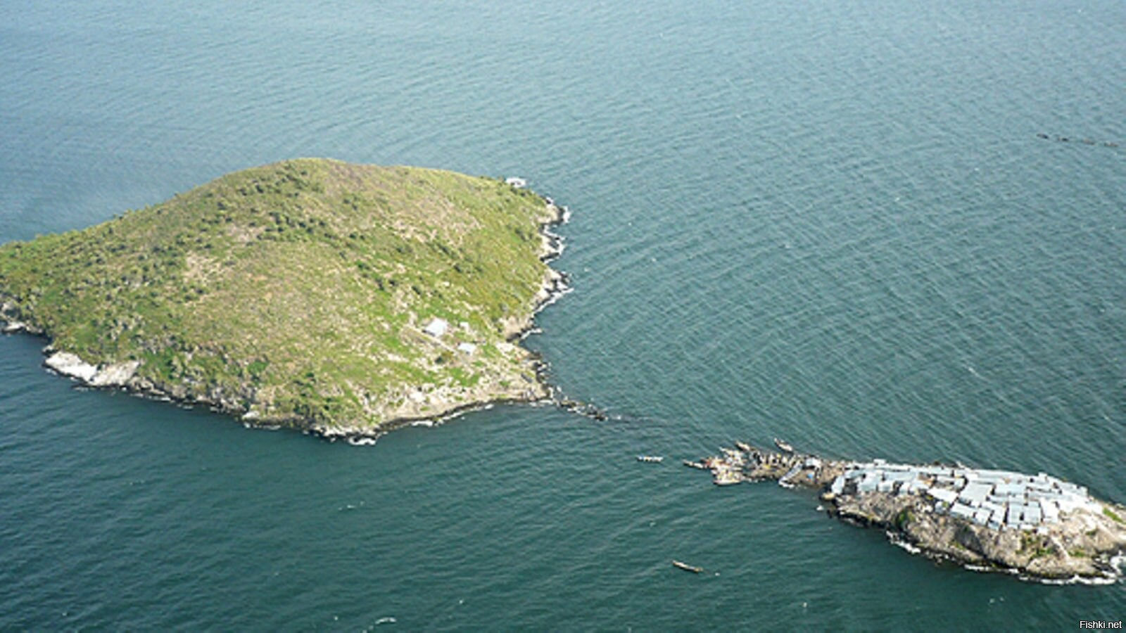 Inhabited island. Мгинго самый густонаселенный остров в мире.