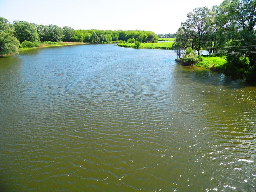 e4e0ddd7e6 Русская рекордсменка: почему Пьяна — одна из самых извилистых рек на Земле