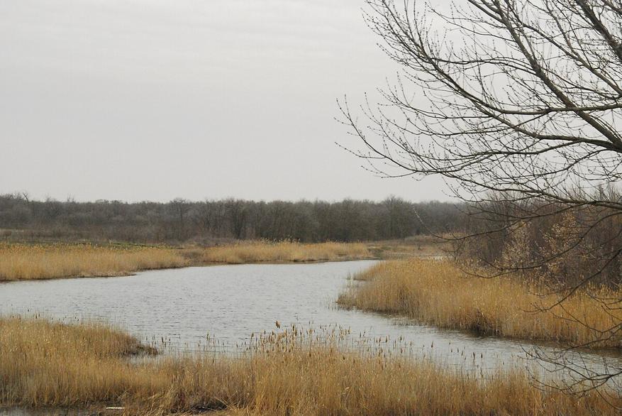4c782cab8a Какие ещё реки, кроме Дона, впадают в Азовское море и как они на него влияют