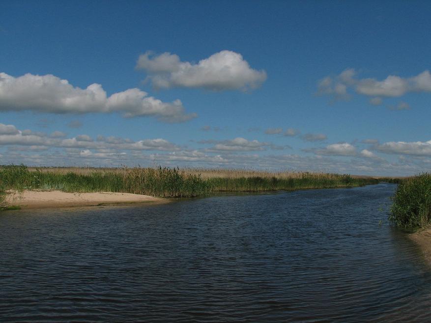 a2be72350f Какие ещё реки, кроме Дона, впадают в Азовское море и как они на него влияют