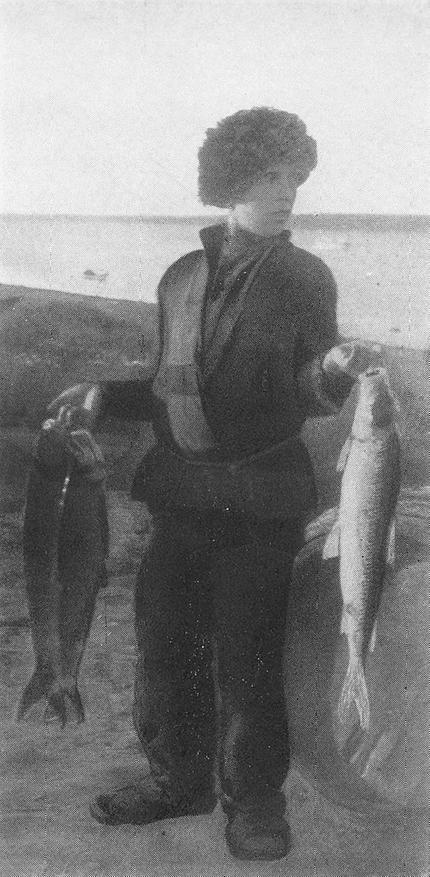 0c2904a935 Самая холодная река в мире: где находится Индигирка  и почему о ней почти никто не знает