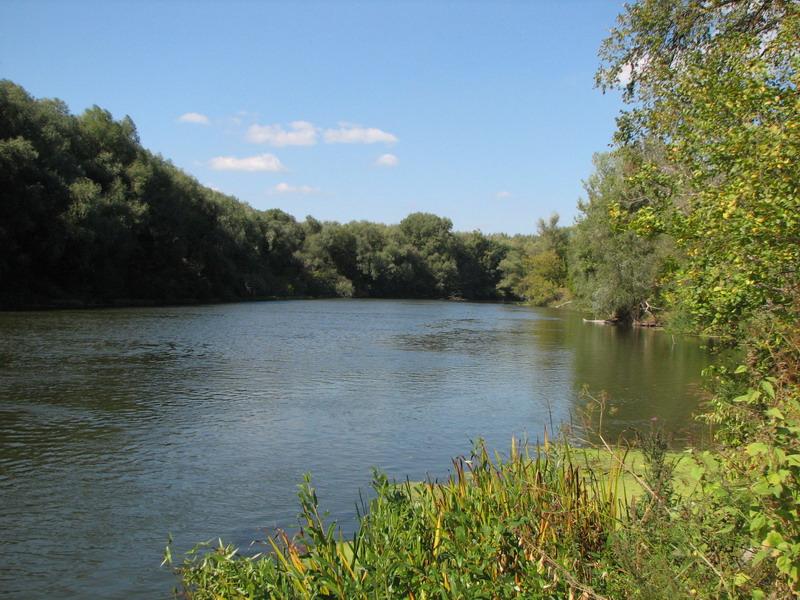 49f541d78b Где течёт самый большой приток Дона, почему Северский Донец важен — и что с ним происходит сегодня