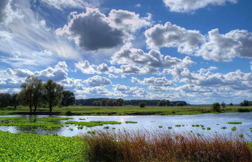 612c0695d7 Где течёт самый большой приток Дона, почему Северский Донец важен — и что с ним происходит сегодня