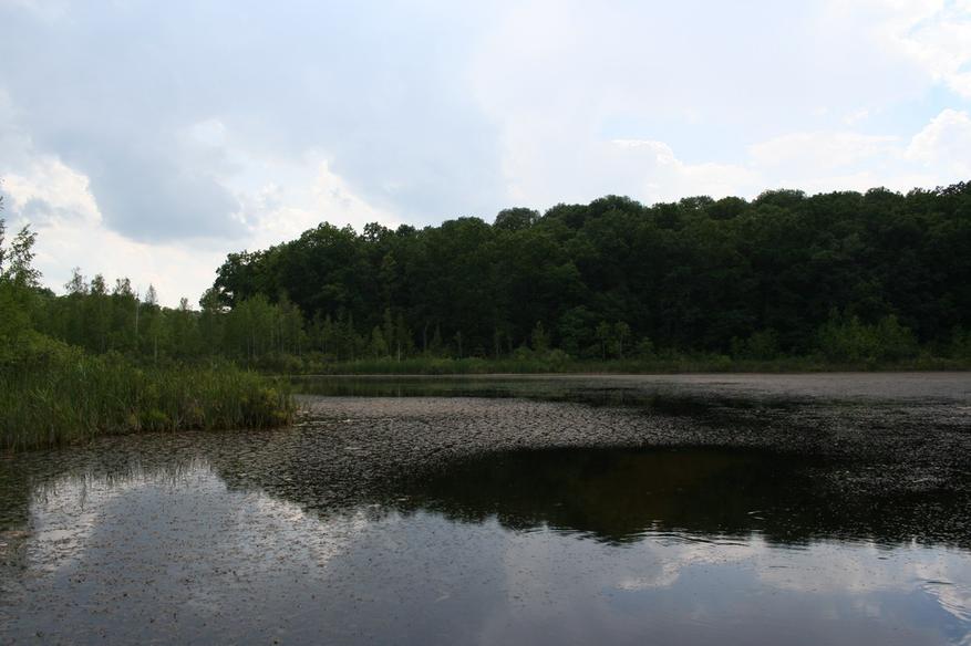 f0ac3c1b86 Почему на дно Марианской впадины смогли опуститься, а в некоторых озёрах до сих пор не могут понять, где оно вообще?
