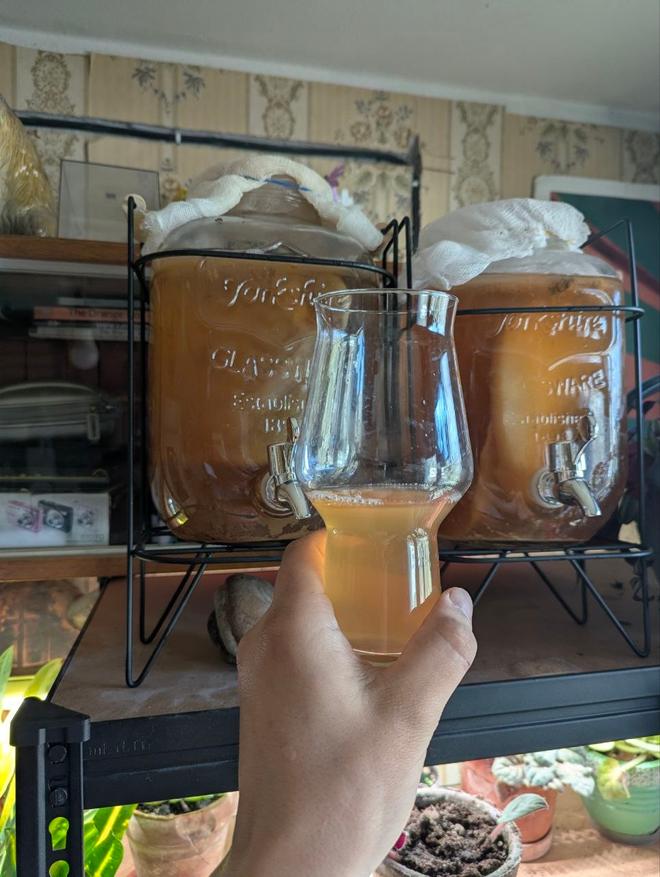 Напиток прямо из банки